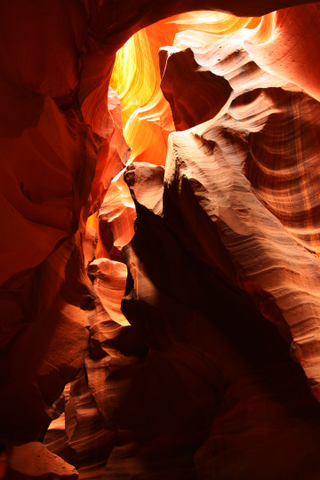 Illustration for article titled This Glorious Gallery Highlights A Myriad Optical Delights